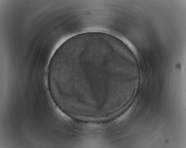 X0000101711102200808071217