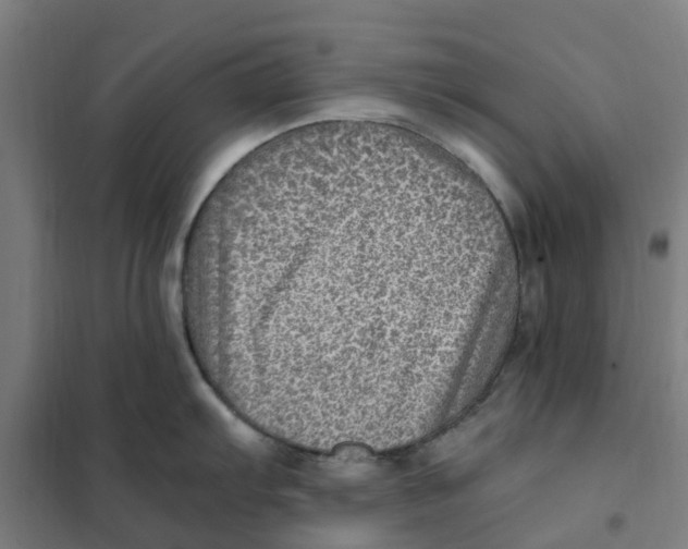 X0000101711103200808071217