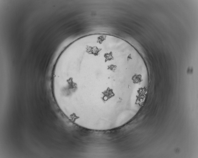 X0000101711104200808071217