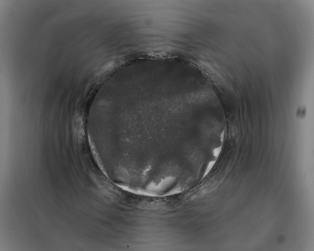 X0000101711106200808071216