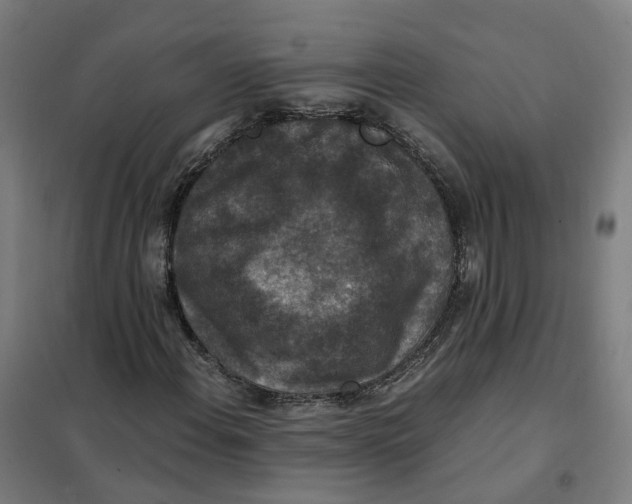 X0000101711108200808071216