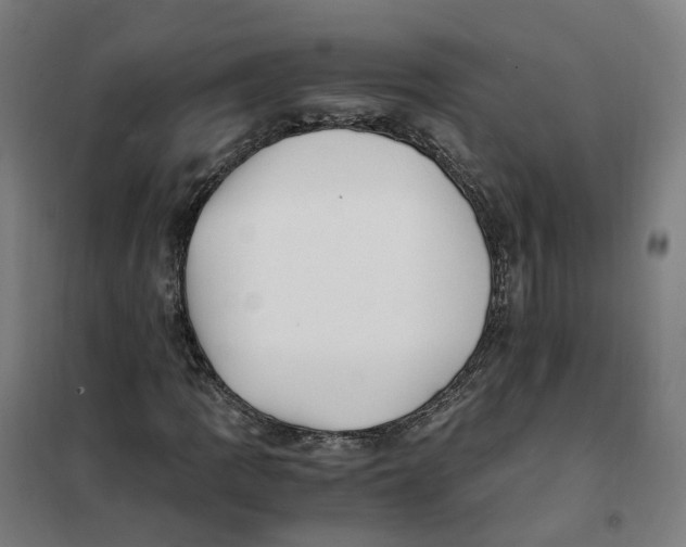 X0000101711109200808071216