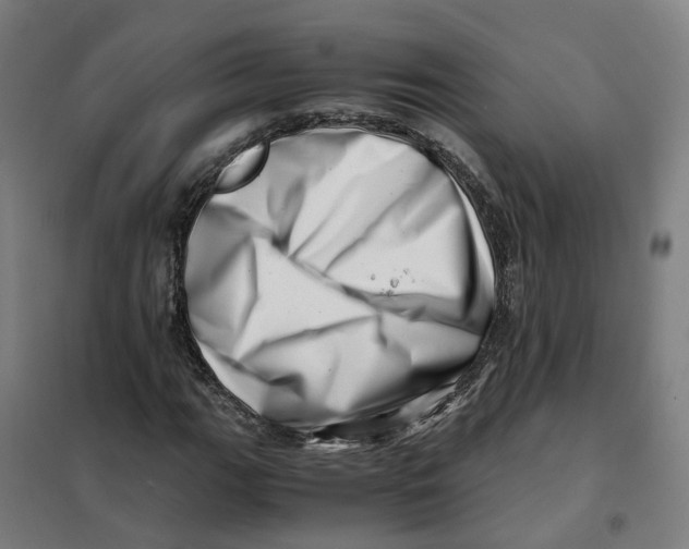 X0000101711111200808071216