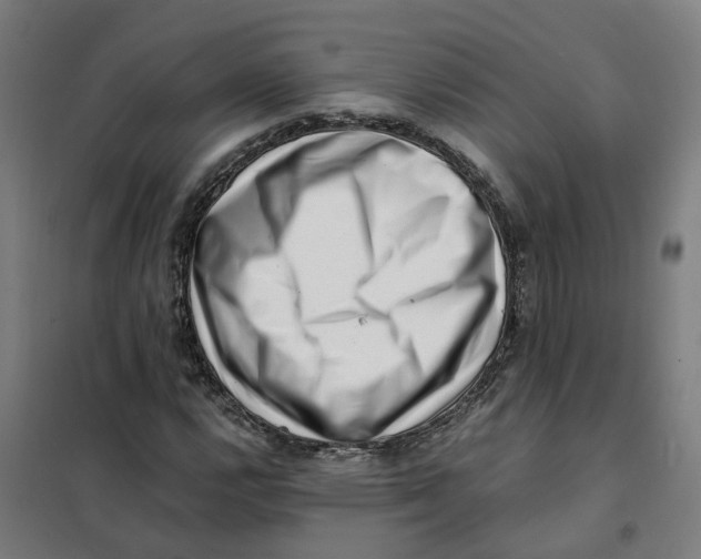 X0000101711112200808071216