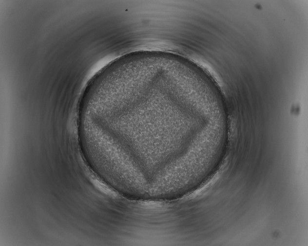 X0000101711114200808071216