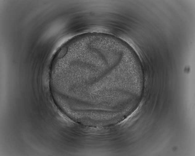 X0000101711115200808071216