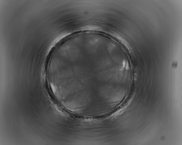 X0000101711117200808071216