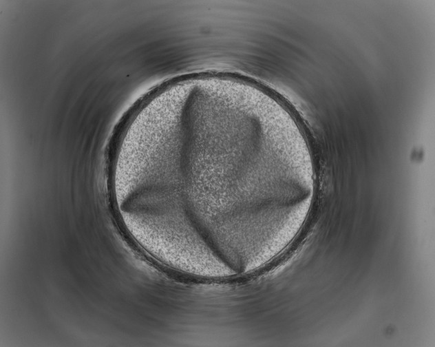 X0000101711118200808071216