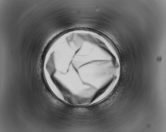 X0000101711119200808071216