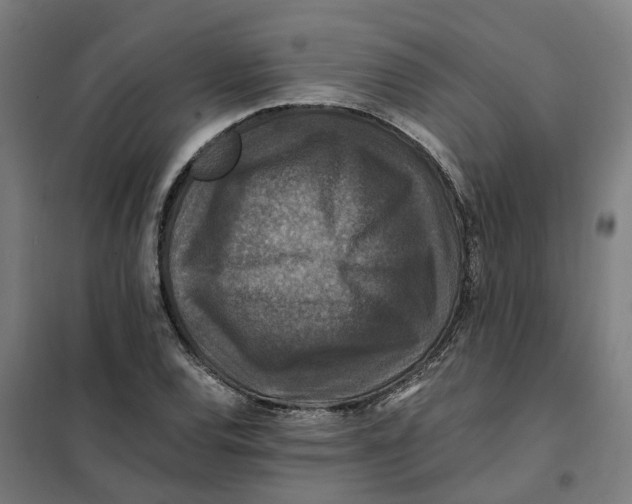 X0000101711120200808071216