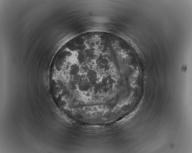 X0000101711121200808071216