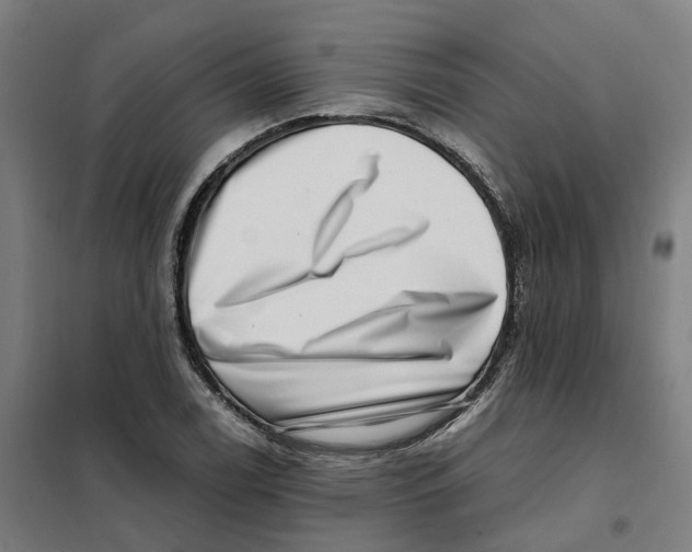 X0000101711122200808071216