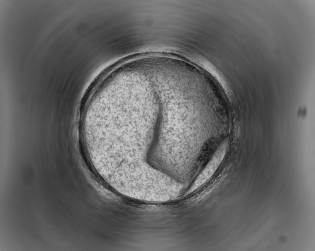 X0000101711124200808071216