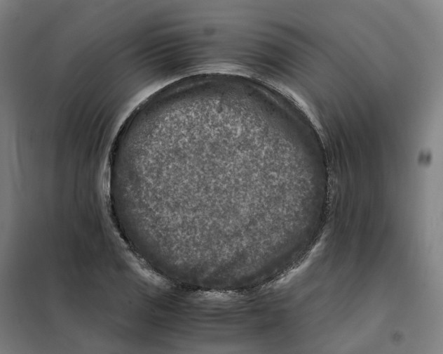 X0000101711125200808071216