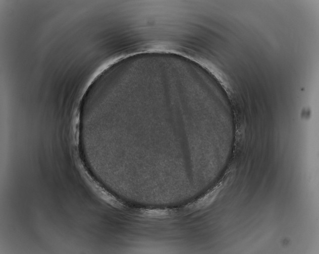 X0000101711126200808071216