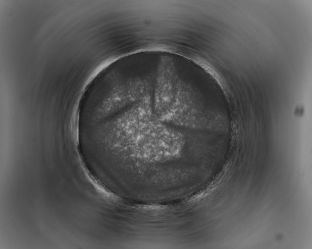 X0000101711127200808071216