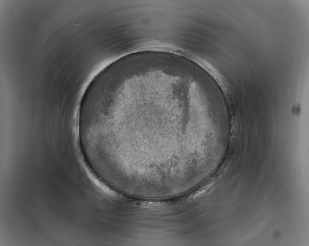 X0000101711128200808071216