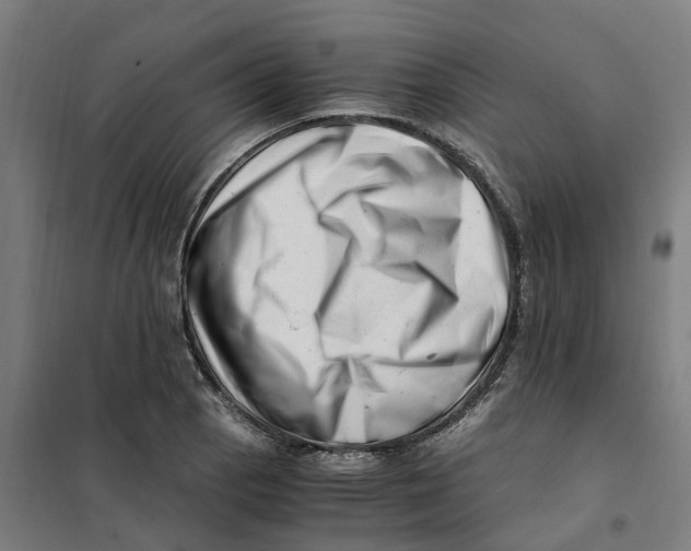 X0000101711129200808071216