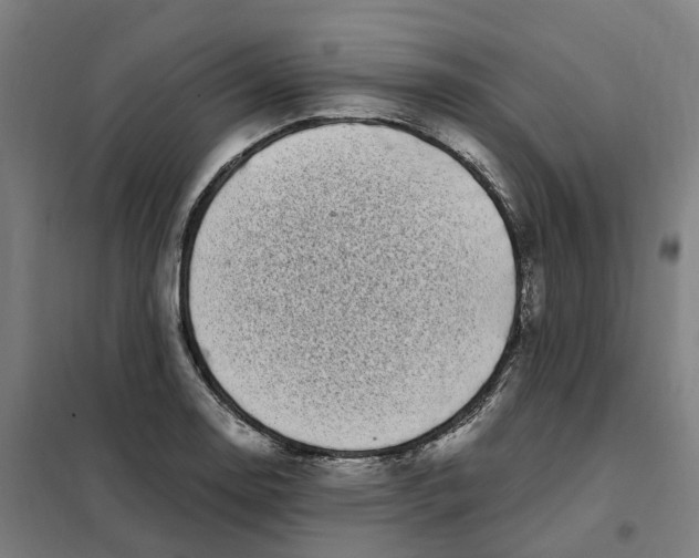 X0000101711130200808071216