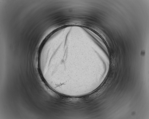 X0000101711131200808071216