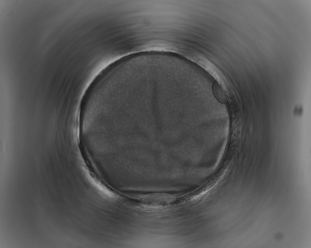 X0000101711132200808071216