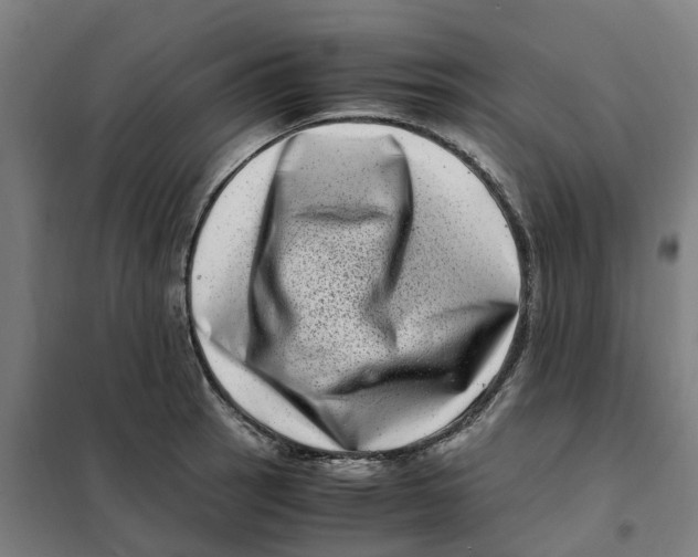X0000101711137200808071216
