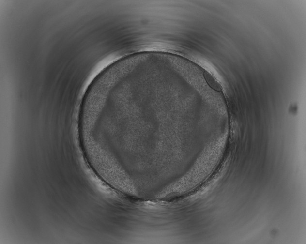 X0000101711138200808071216