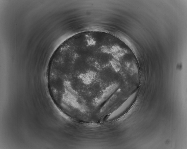X0000101711141200808071217