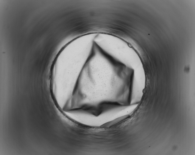 X0000101711143200808071217