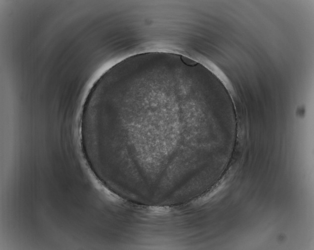 X0000101711144200808071217