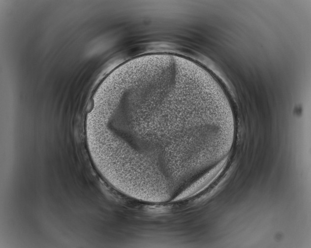 X0000101711145200808071217