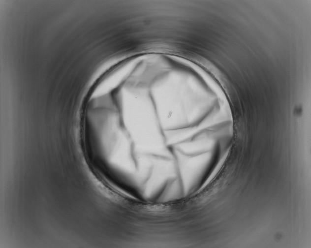 X0000101711147200808071217