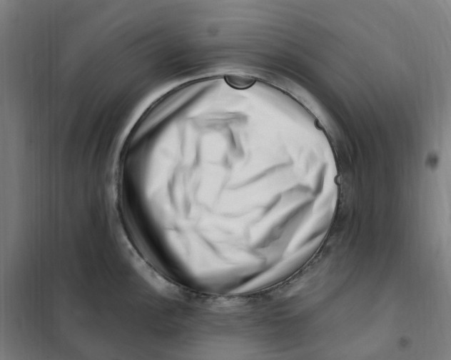 X0000101711148200808071217