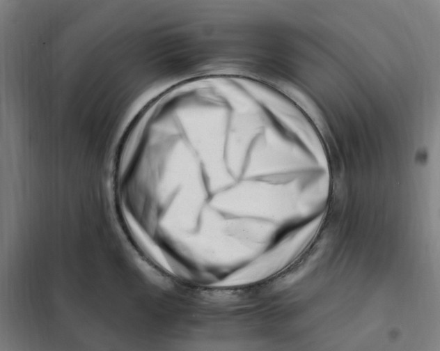 X0000101711149200808071217