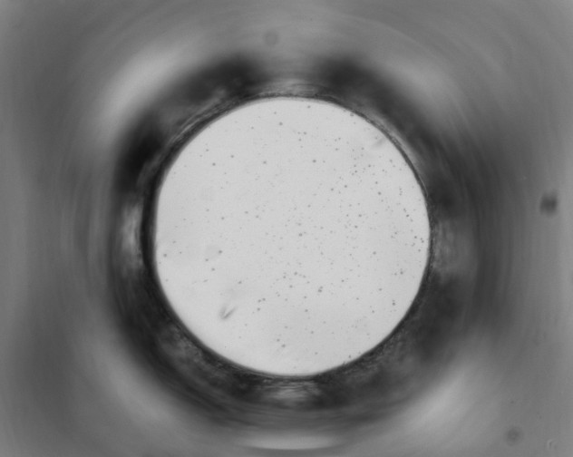 X0000101711150200808071217