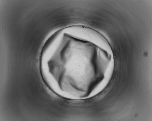 X0000101711151200808071217