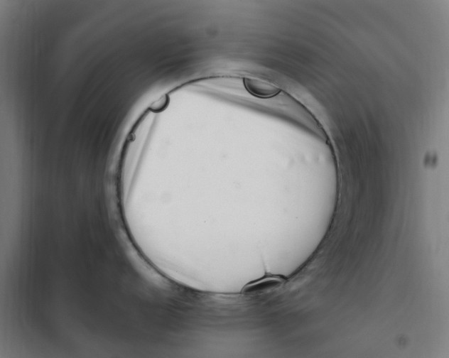 X0000101711152200808071217