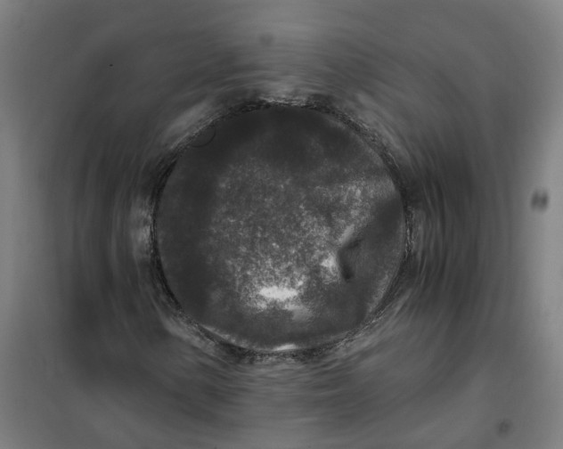 X0000101711154200808071216
