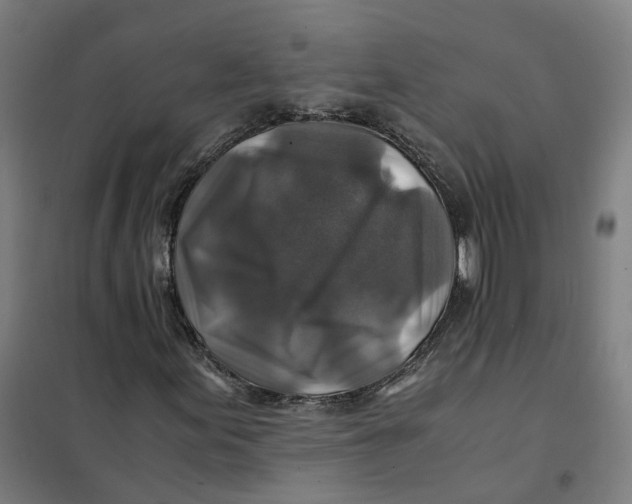 X0000101711155200808071216