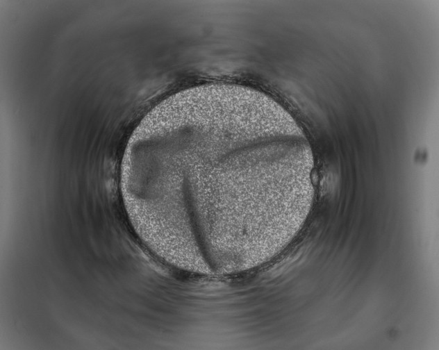 X0000101711156200808071216