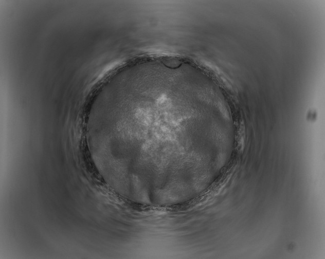 X0000101711157200808071216