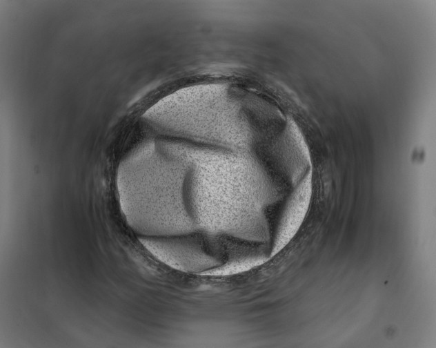 X0000101711158200808071216