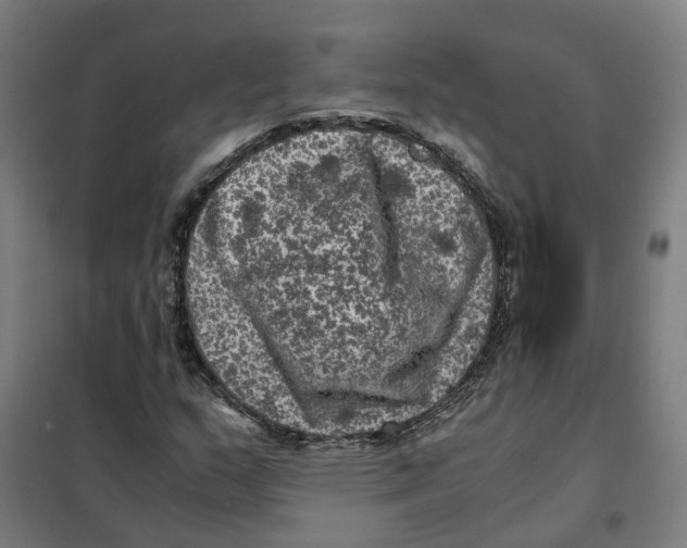 X0000101711159200808071216