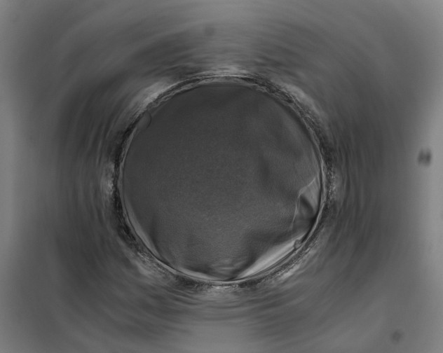 X0000101711161200808071216