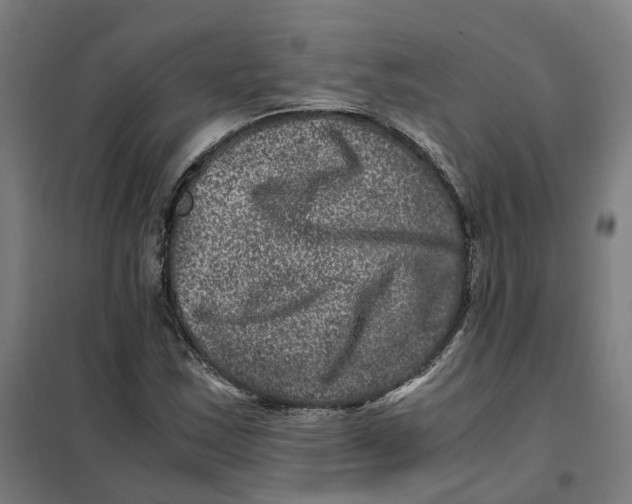 X0000101711163200808071216