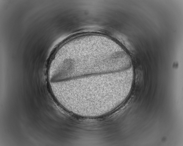 X0000101711164200808071216