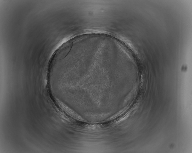 X0000101711165200808071216