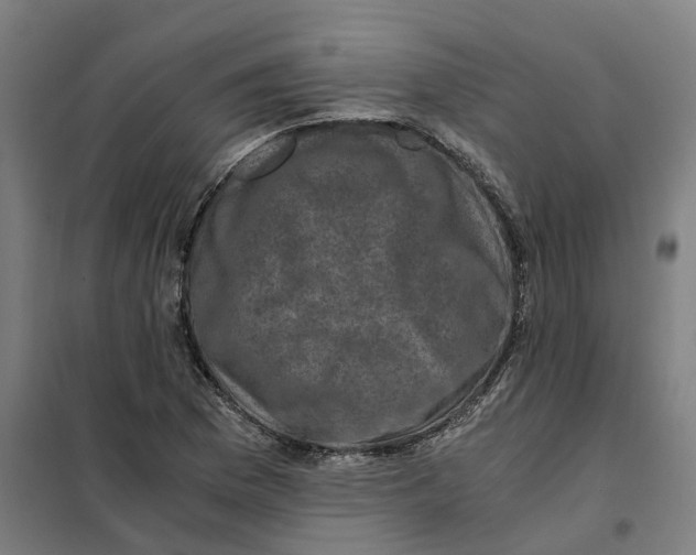 X0000101711169200808071216