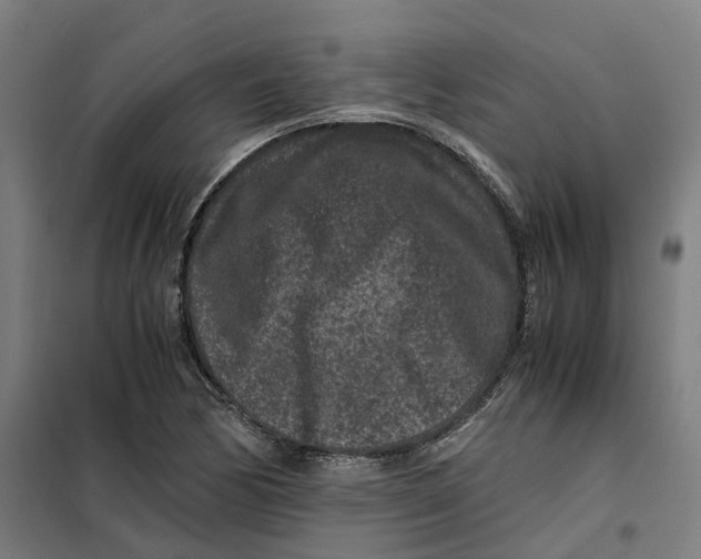 X0000101711170200808071216