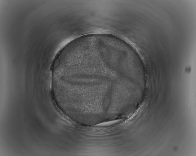 X0000101711171200808071216